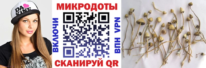 Купить  Пестово  Галлюциногенные грибы мухоморы 
