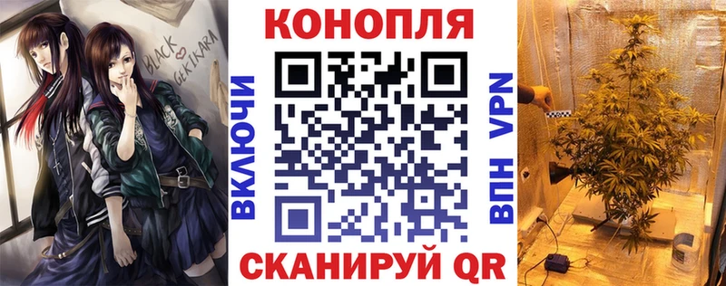Марихуана планчик  Купить закладки  Пестово 